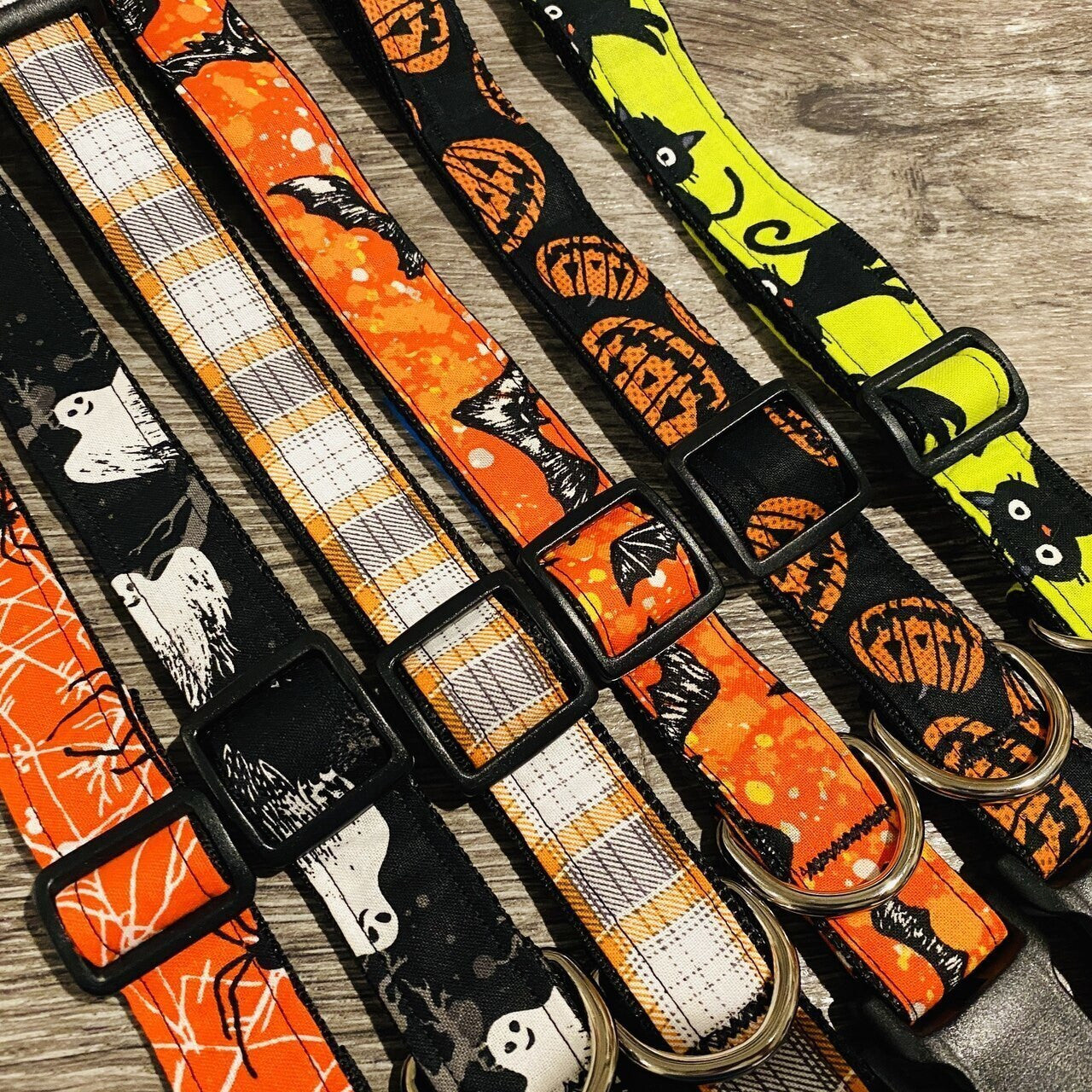 Collar - Barks and Boos - Walking in a Spider Web