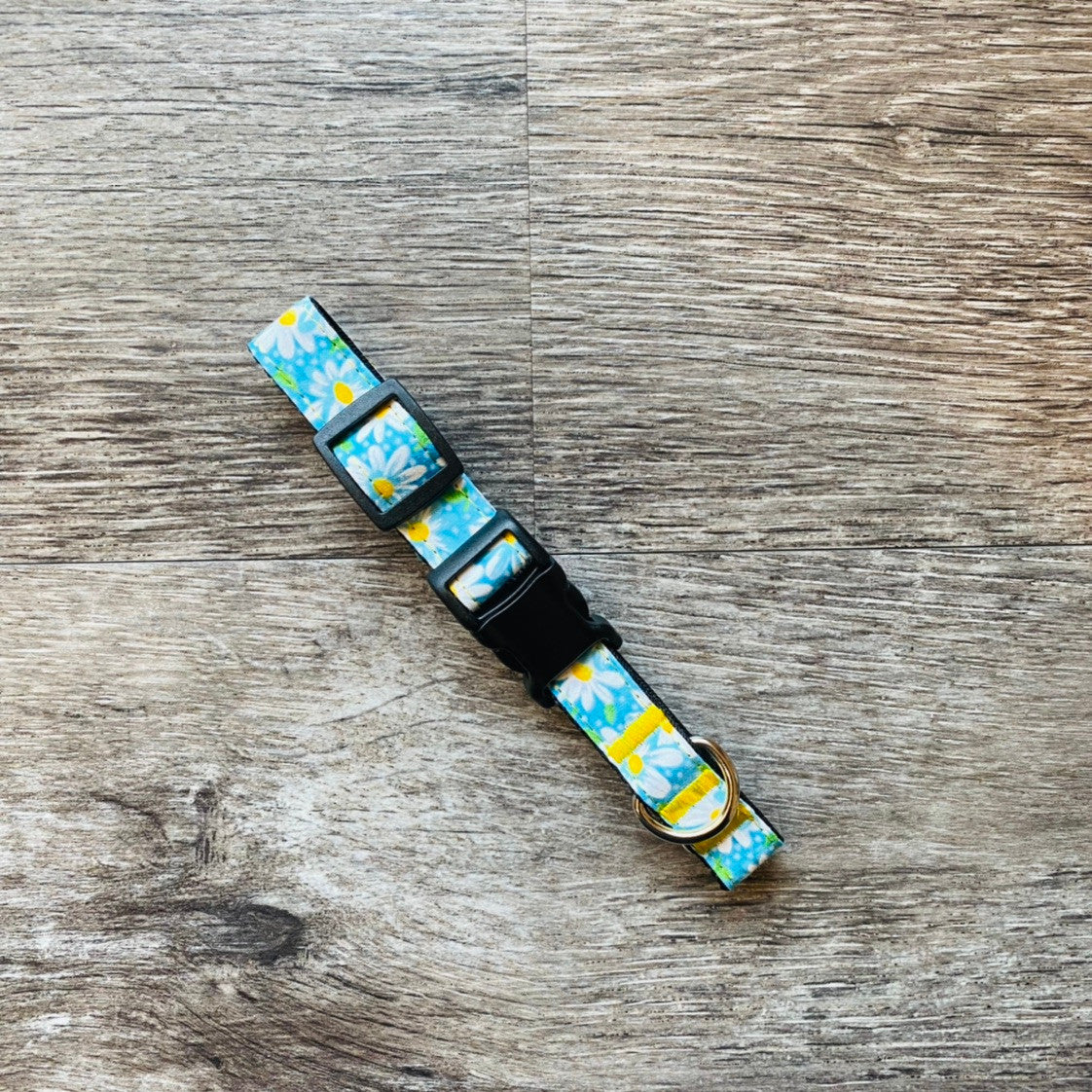 Collar - Pups & Petals - Daisies on Blue