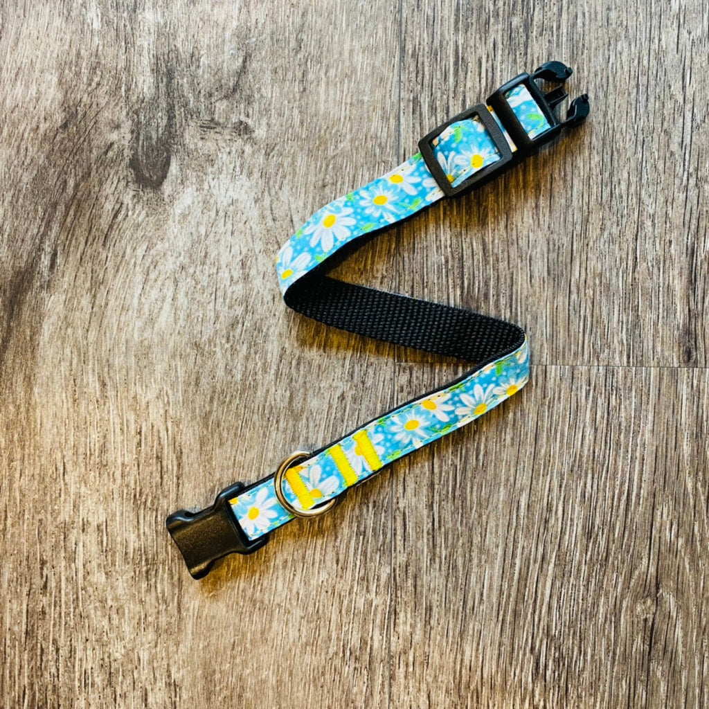 Collar - Pups & Petals - Daisies on Blue