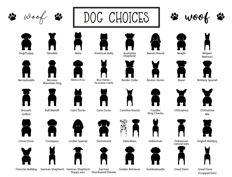 Booty Board Choice Sheet 1 of 2