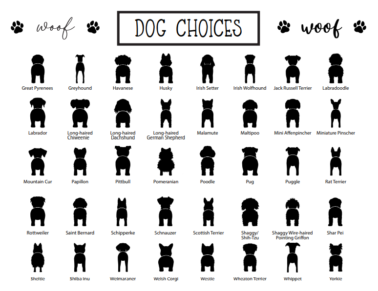 Booty Board Choice Sheet 1 of 3