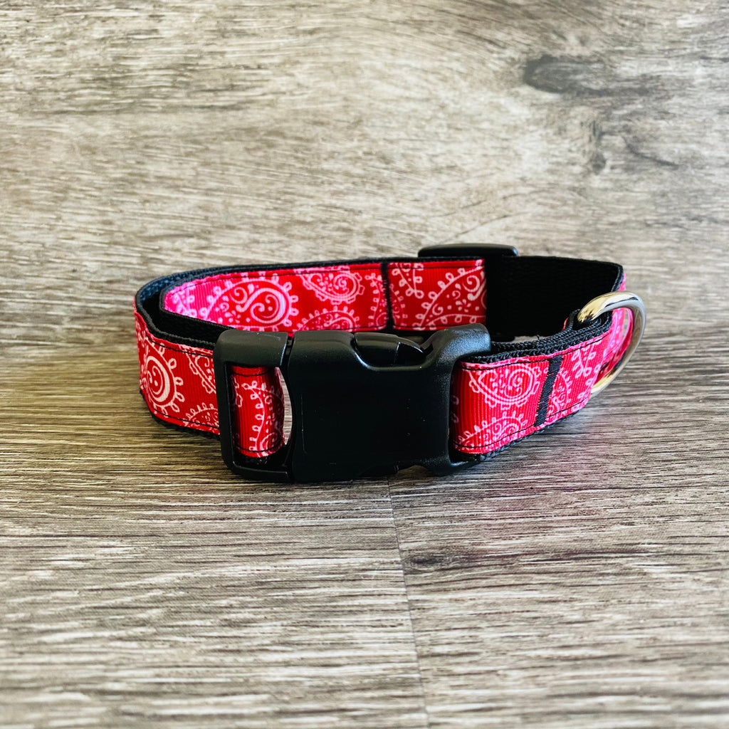 Collar - Printed Pets - Red Paisley