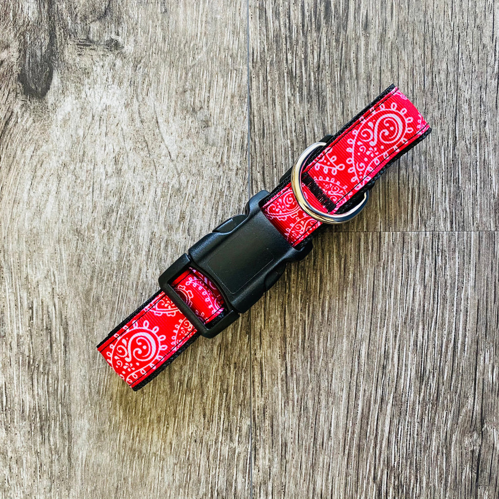 (Matching leash available!)