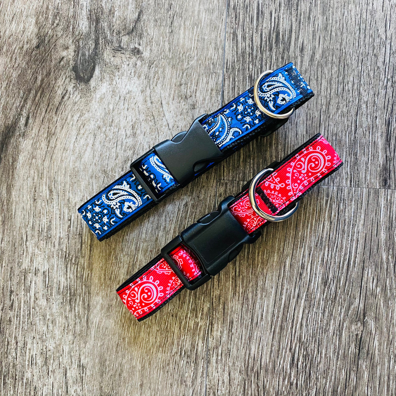 Collar - Printed Pets - Blue Paisley