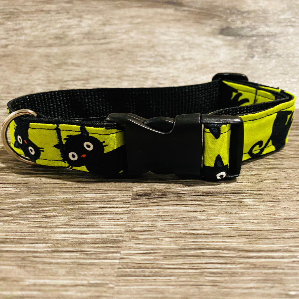 Bright cat print dog collar perfect for your four-legged friend to get into the spirit of Halloween!